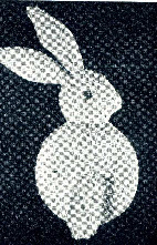 pp9f5a2e60.jpg